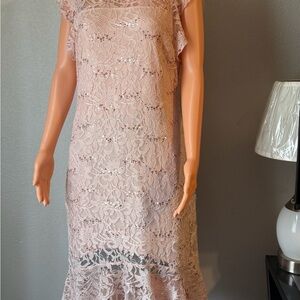 Elegant Pink Lace Dress